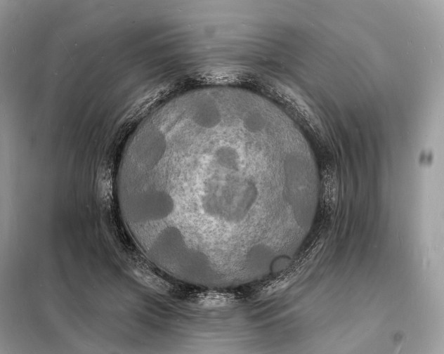 X0000098230549200805081224