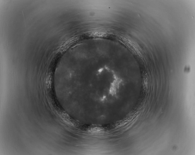 X0000098230551200805081224