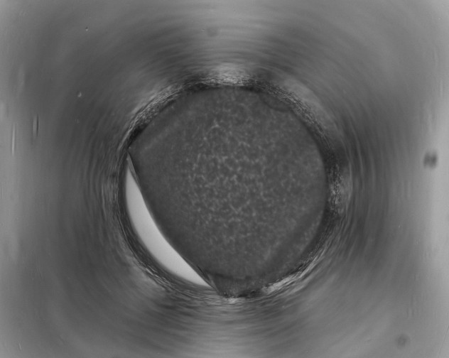 X0000098230552200805081224