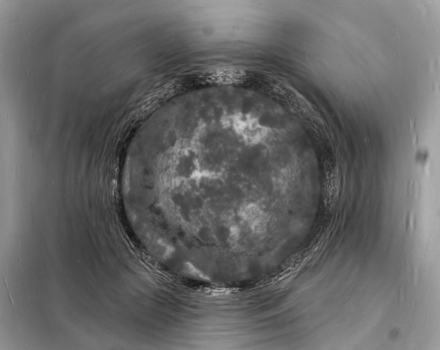 X0000098230553200805081224