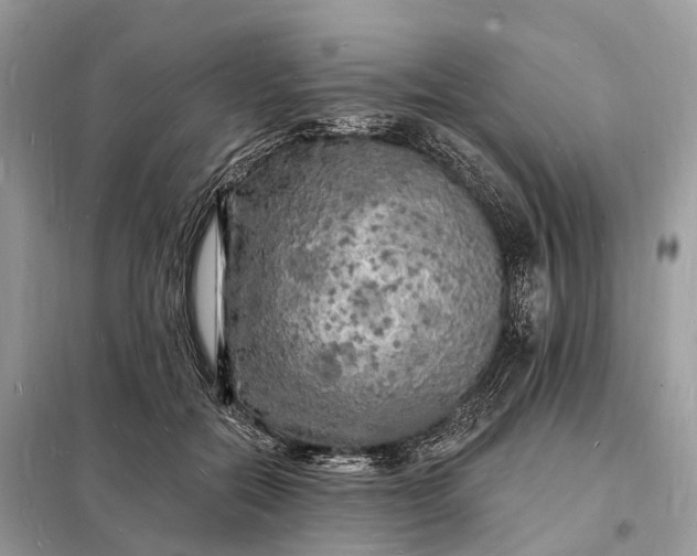 X0000098230554200805081224