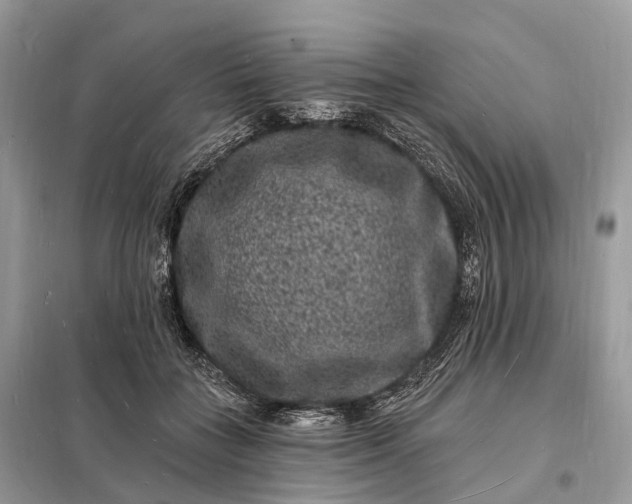 X0000098230555200805081224