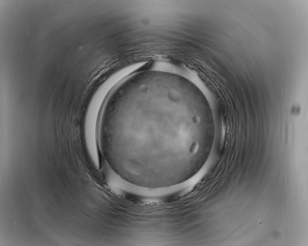 X0000098230556200805081224