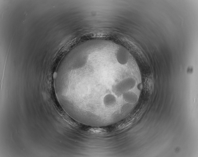 X0000098230557200805081224