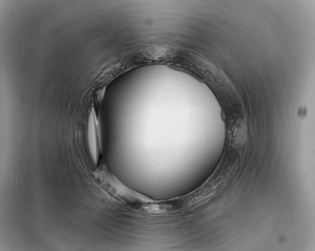 X0000098230558200805081224