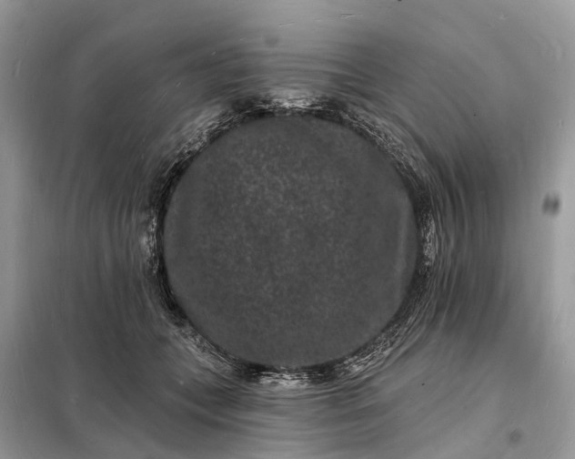 X0000098230559200805081224