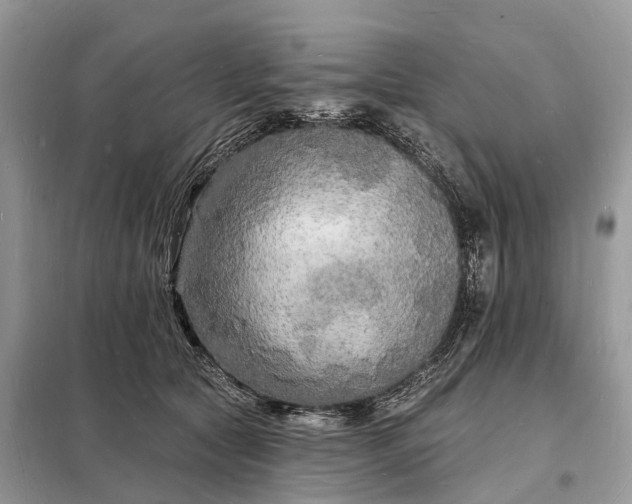 X0000098230561200805081224