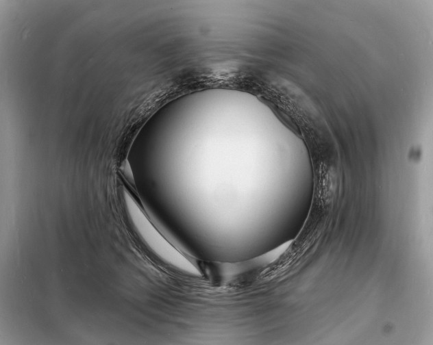 X0000098230562200805081224