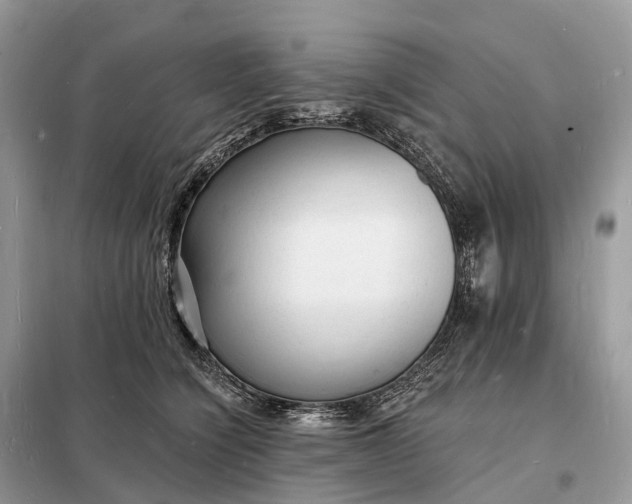 X0000098230564200805081224