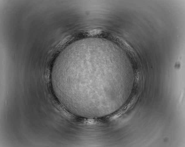 X0000098230565200805081224