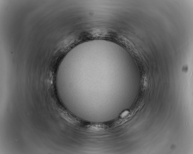 X0000098230567200805081225