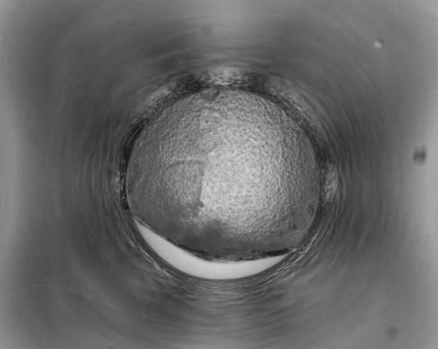 X0000098230569200805081225