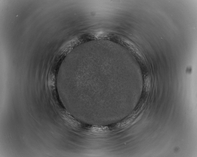 X0000098230571200805081225