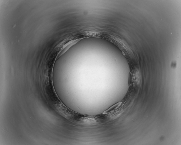 X0000098230572200805081225