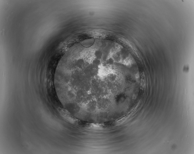 X0000098230573200805081225