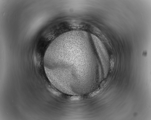 X0000098230574200805081225