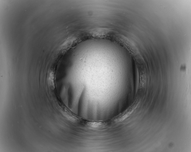 X0000098230575200805081225