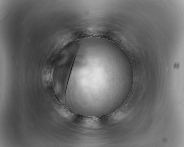 X0000098230576200805081225