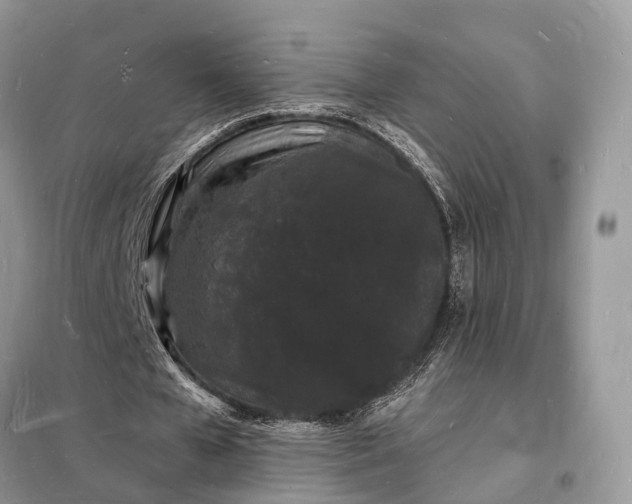 X0000098230577200805081224