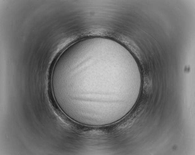 X0000098230578200805081224