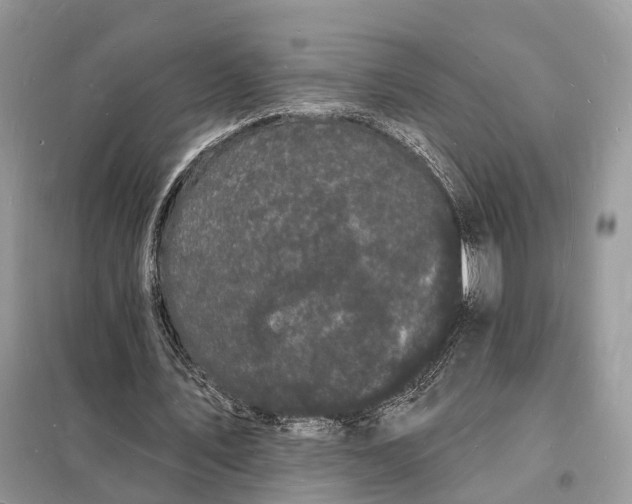 X0000098230579200805081224