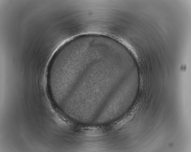 X0000098230580200805081224