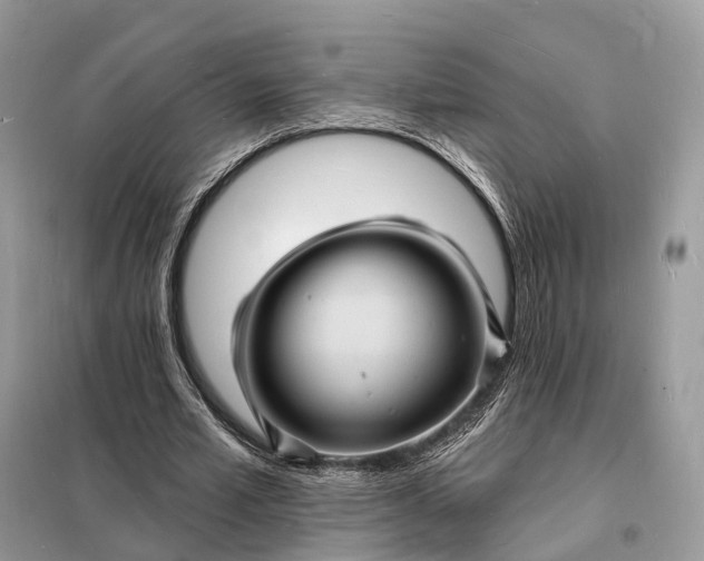 X0000098230581200805081224