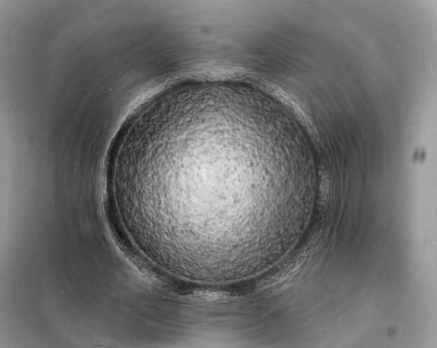 X0000098230582200805081224