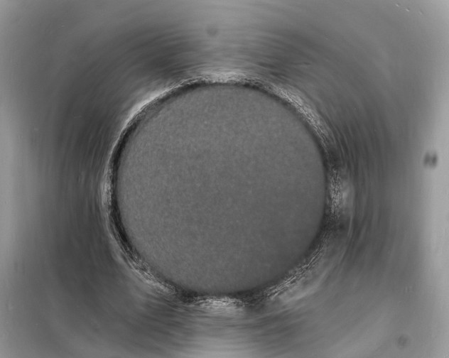 X0000098230583200805081224