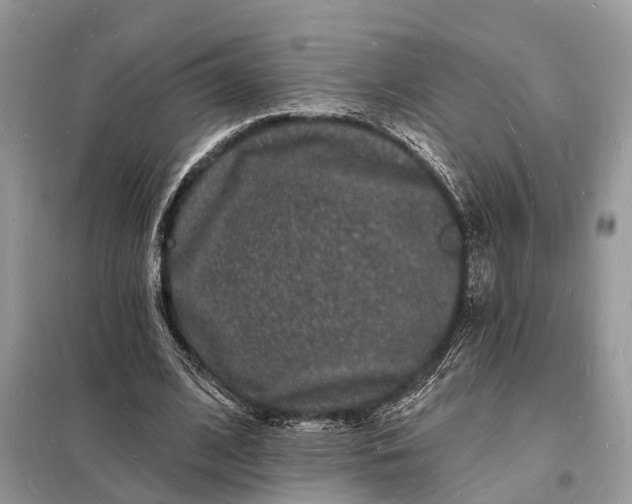 X0000098230584200805081224