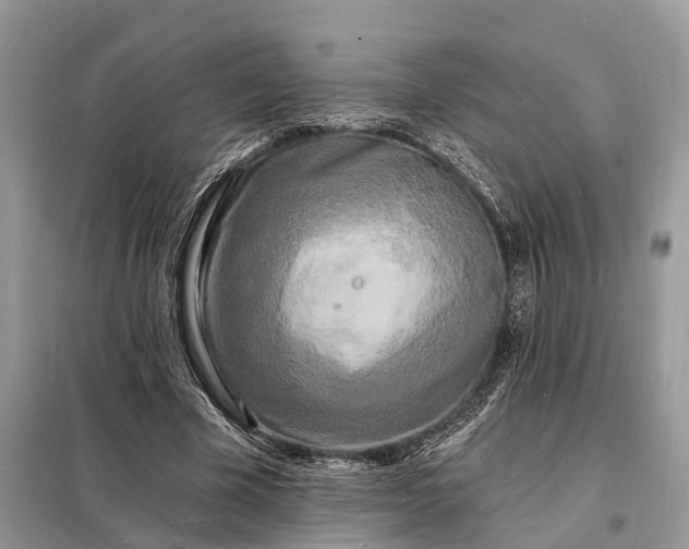 X0000098230585200805081224