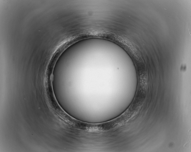 X0000098230587200805081224