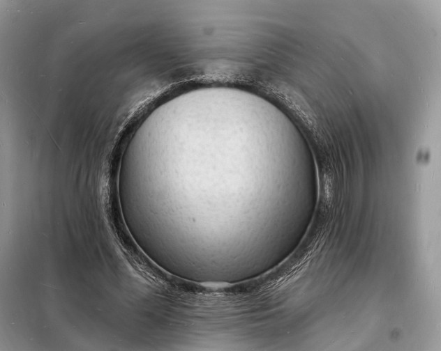 X0000098230588200805081224