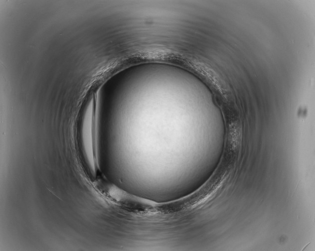 X0000098230589200805081224