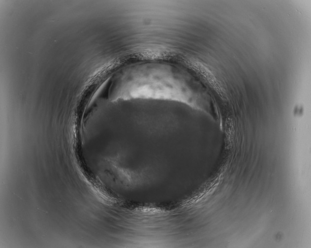 X0000098230590200805081224