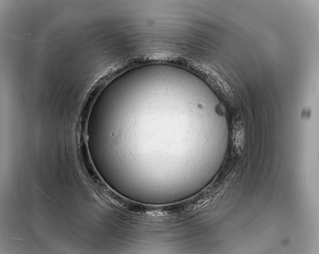 X0000098230591200805081224