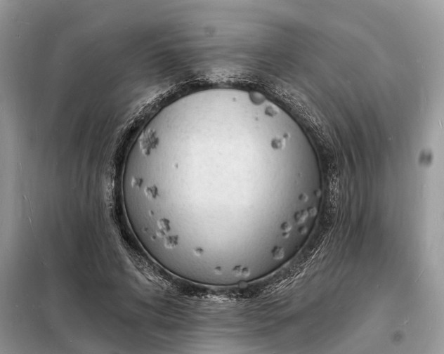 X0000098230592200805081224