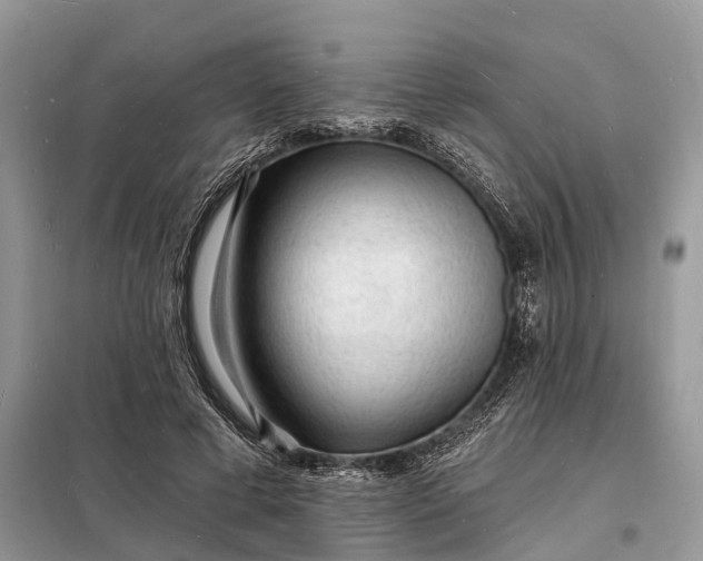 X0000098230593200805081224