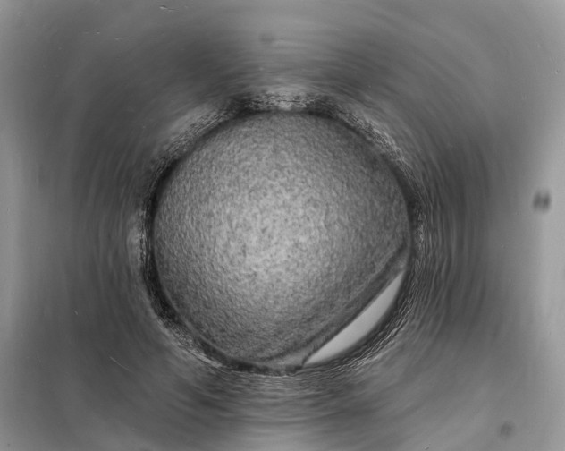 X0000098230594200805081224