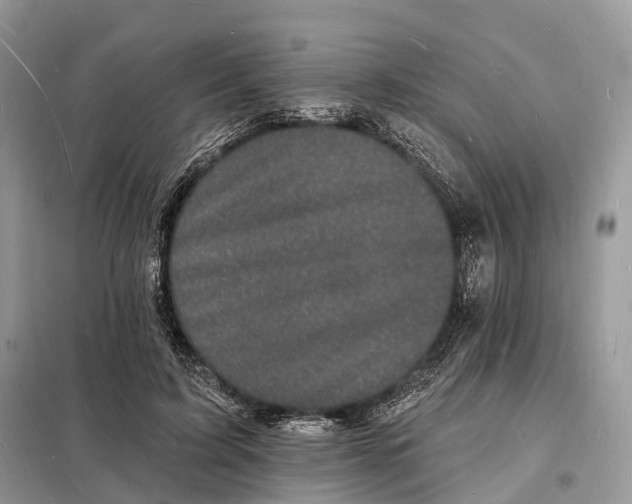 X0000098230595200805081224