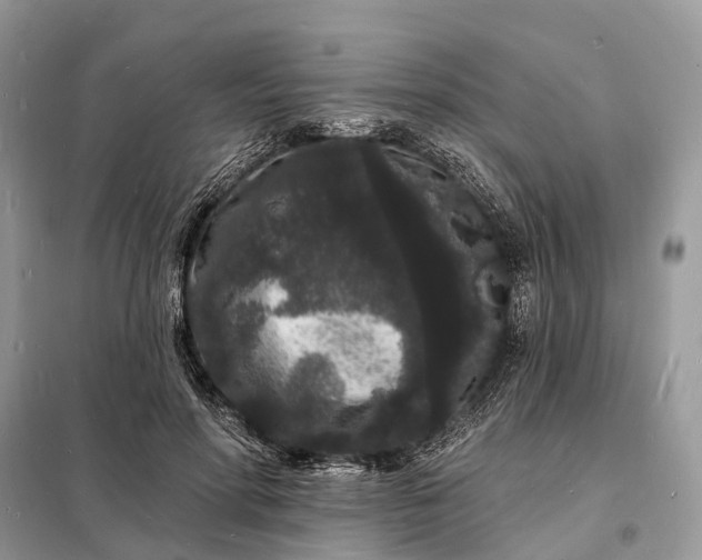 X0000098230598200805081224