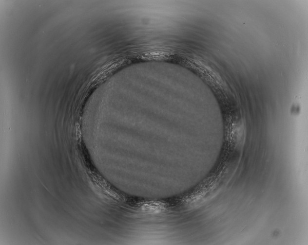 X0000098230599200805081224