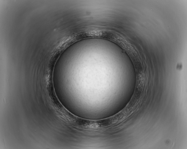 X0000098230600200805081224