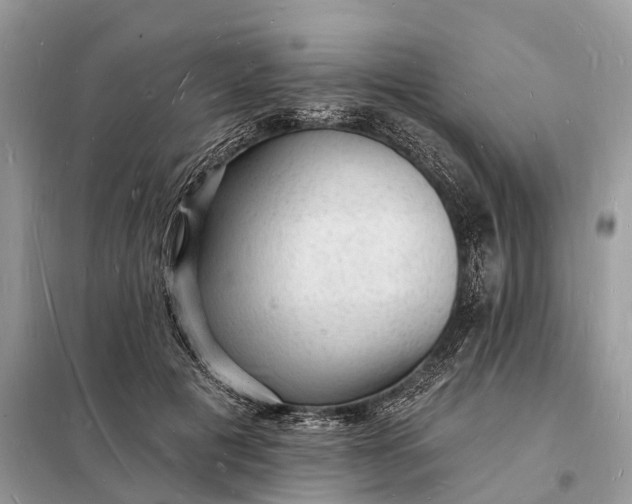 X0000098230601200805081224