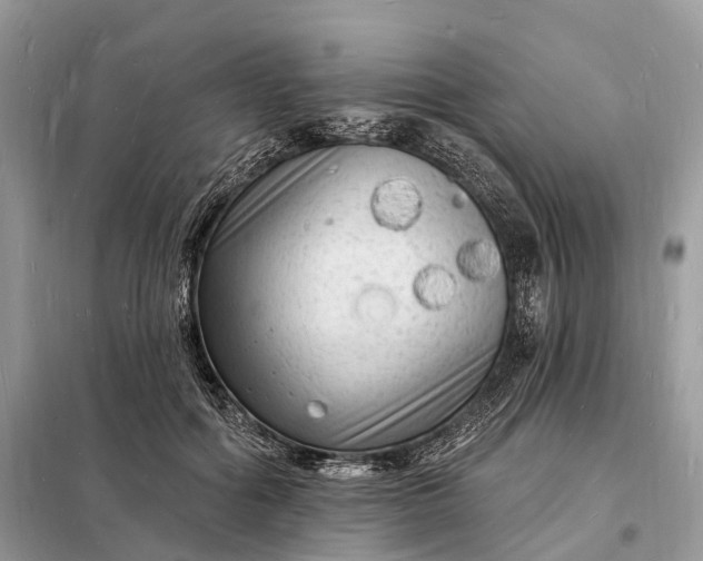 X0000098230602200805081224