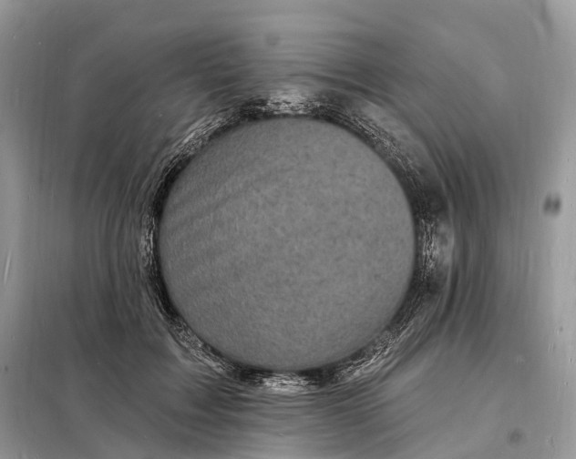 X0000098230603200805081224