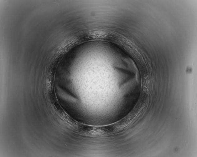 X0000098230604200805081224