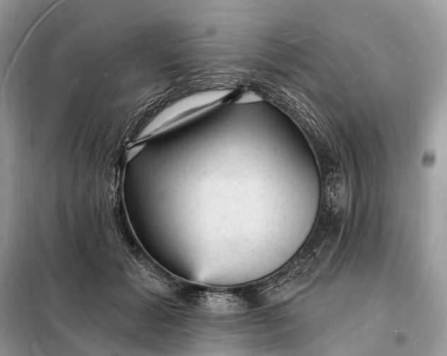 X0000098230605200805081224