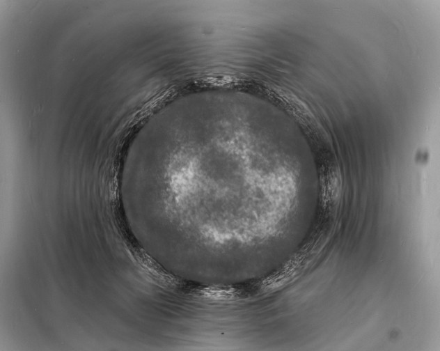 X0000098230606200805081224