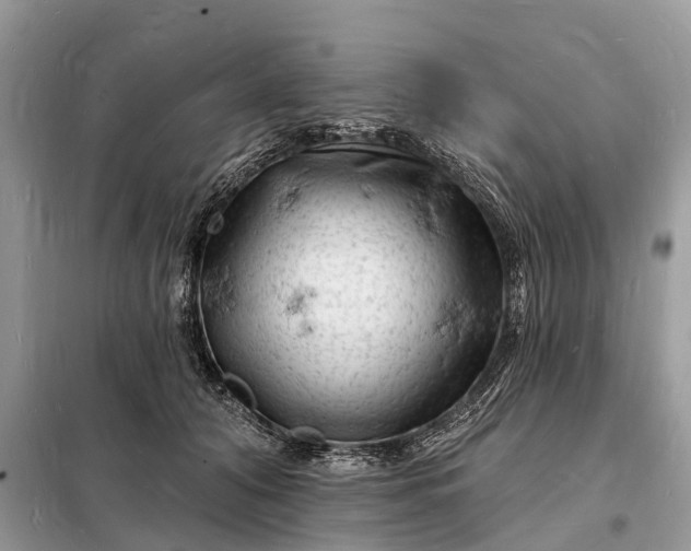 X0000098230608200805081224